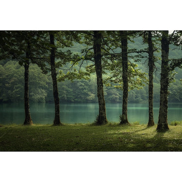 Lake Scenery Canvas